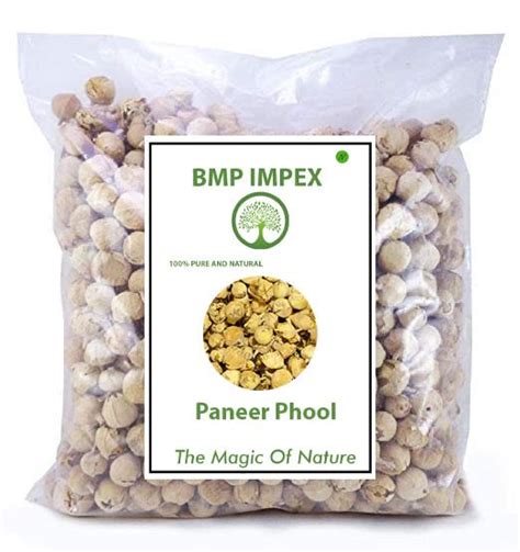 Bmp Impex Paneer Doda (Withania Coagulans) Paneer Dodi/Paneer Ka Phool ...