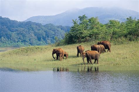 Luxury Hotels in South India, Luxury Accommodation in South India