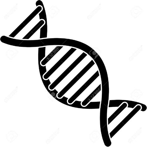 DNA Vector 的图像结果