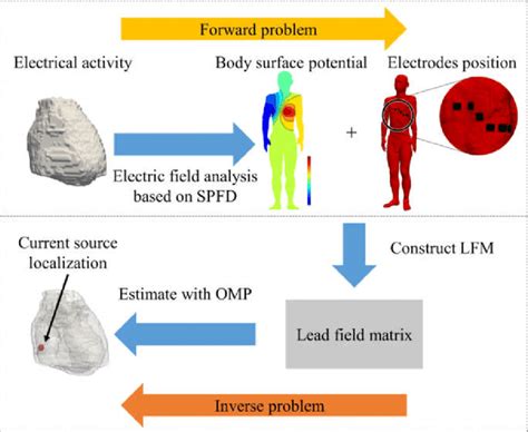 Image result for Understanding Cardiac Current