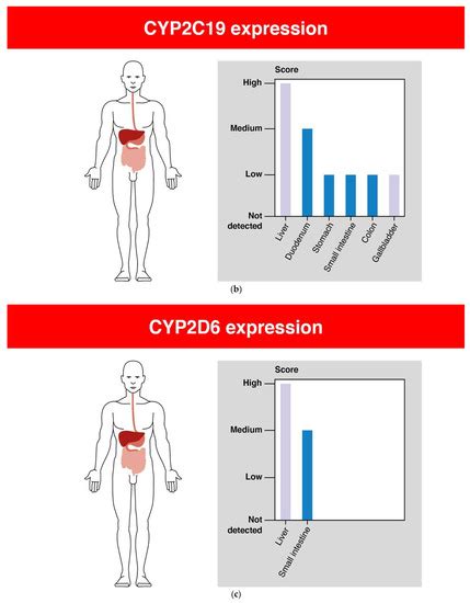 Oxidation of Antipsychotics