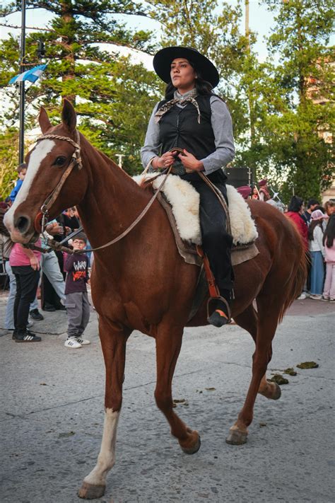 Horse Butt Photos, Download The BEST Free Horse Butt Stock Photos & HD ...