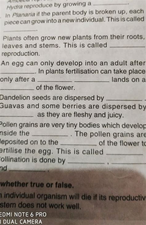 this fill ups In planaria......................... called ...