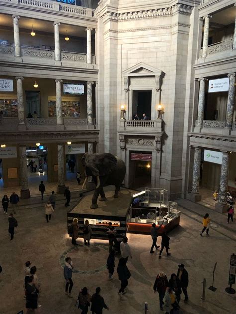 Smithsonian Museum 的图像结果