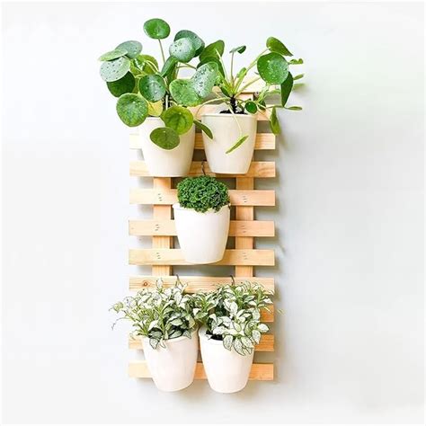 ecofynd 2 feet/ 24 Inch Wooden Hanging Planter Wall Frame, Plant Stand ...