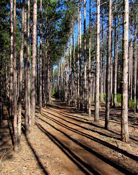 Riley Trails, Revisited [Runner’s High] – Hooray Run