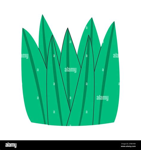 green color grass nature fresh leaf plant ecology organic outdoor ...