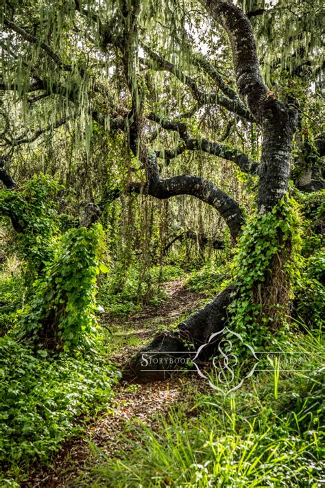 Digital Backdrop 的图像结果