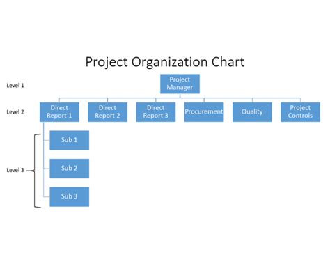Project Organization Chart Template | PDF