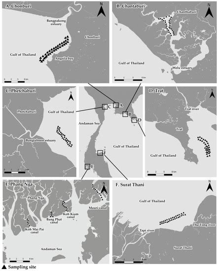 Water | Special Issue : Waterborne Pathogens—Threats to Water Quality