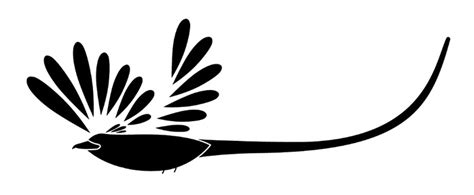 D'source Links | Indian Paradise Flycatcher | D'Source Digital Online ...