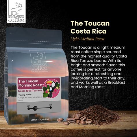 The Toucan - Costa Rica Terrazu Morning Medium-Light Roast | Diving ...