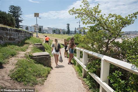 American tourist's hilarious misinterpretation of Aussie insult sparks ...