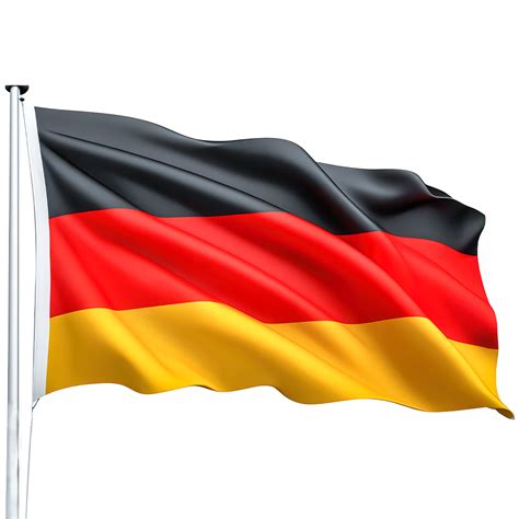 Leading Foreign Language Institute in Kerala with Expert Trainers