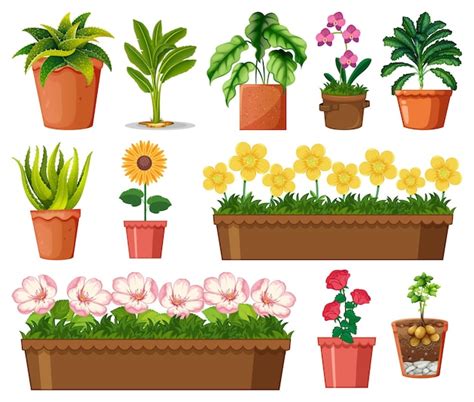 Blumentopf Clipart-Vektoren – Lade kostenlose, hochwertige Vektoren von ...