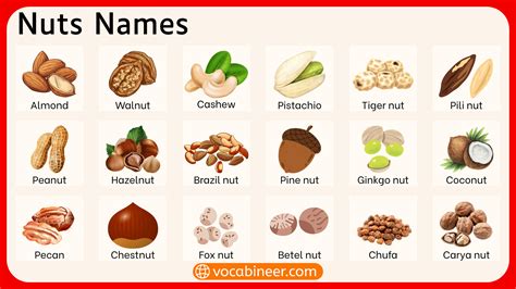 Types of Nuts with Pictures and Names