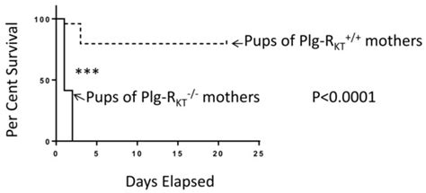 Plasminogen Receptors and Fibrinolysis