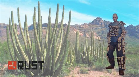 Rust Cloth Farm Guide 的图像结果