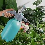 10 Best Watering Weed Plants 2024 | There's One Clear Winner ...