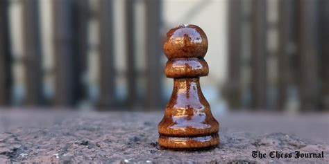 Image result for Chess Pawn Tutorial