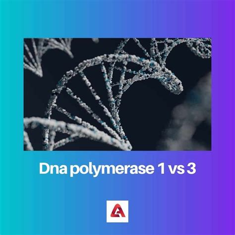 DNA Polymerase 1 vs 3: Difference and Comparison