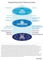 New Images from NCI Visuals Online
