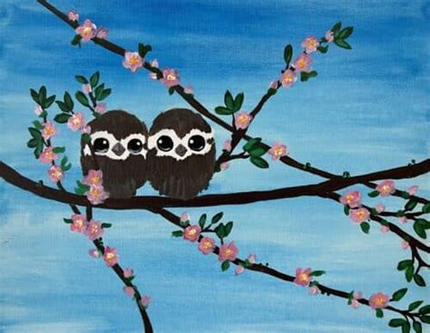 Image result for Baby Owl Springwatch