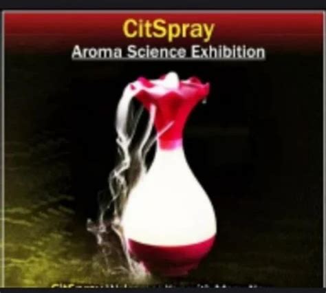 Decorative Aroma Oil Diffuser - Wooden Aroma diffuser Manufacturer from ...