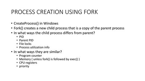 Orphan Process 的图像结果