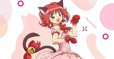新 东京猫猫(梦太公司、Graphinica制作的电视动画)_搜狗百科