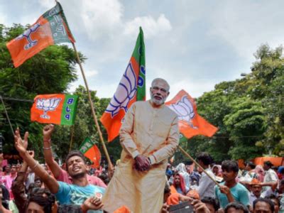 BJP to set the party line for 2019 LS polls at national executive ...
