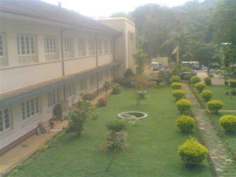 Rikillagaskada - JungleKey.in Image