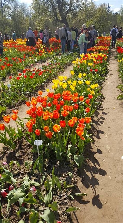 DAUGYVENĖS KULTUROS ISTORIJOS MUZIEJUS-DRAUSTINIS (2025) All You Need ...