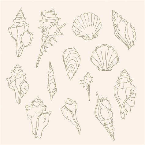 Image result for Shell Line Art