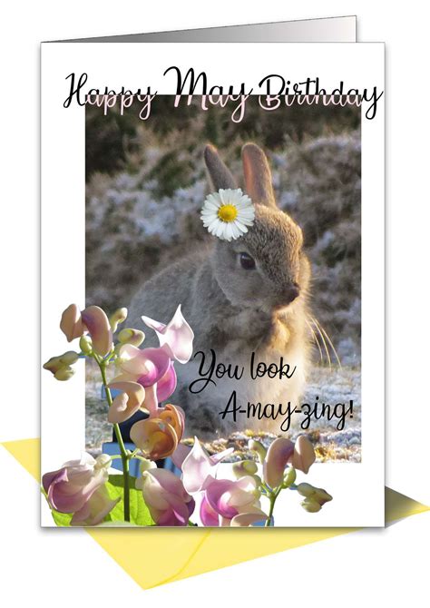 Birthday Card May Rabbit – Pet Cards