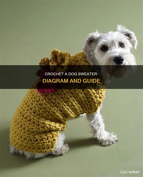 Image result for Dog Sweater Crochet Tutorial