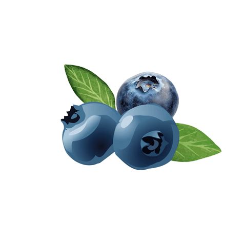 Blueberry