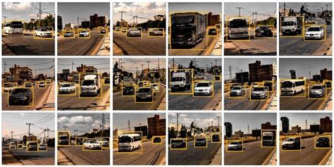 Image result for Dataset Example