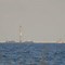 Image result for Falcon 9 Landing