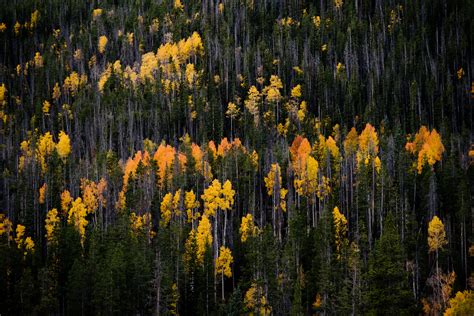 Scenic Mirror Lake Highway | Visit Utah