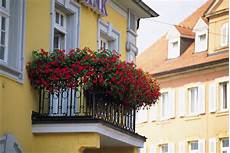 fiori per il balcone come arredare il balcone con i fiori non sprecare fiori per il balcone come arredare il balcone con i fiori non sprecare