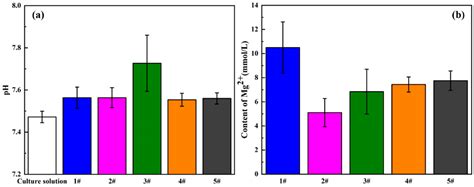 Effect of GelMA Hydrogel Coatings on Corrosion Resistance and ...