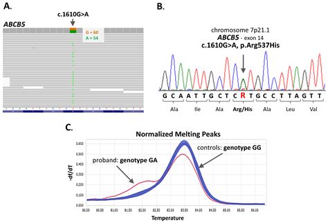 A Rare ABCB5 Variant in a Familial Case of Intrahepatic Cholestasis of ...