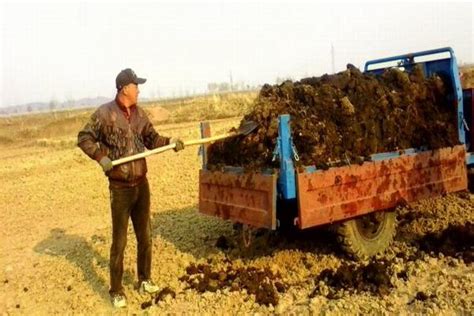 农家肥 的图像结果