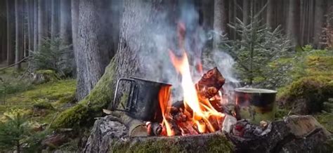 Survival Cooking 的图像结果