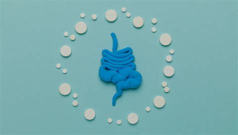 The Best Diet Plan for Constipation Relief – thegoodbug