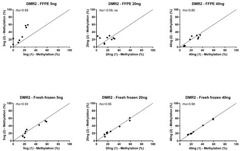 The Role of the IGF2 Methylation Score in Diagnosing Adrenocortical ...