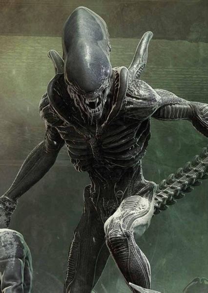Image result for Alien Series