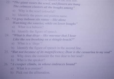 Anyone answer this questions please - Brainly.in