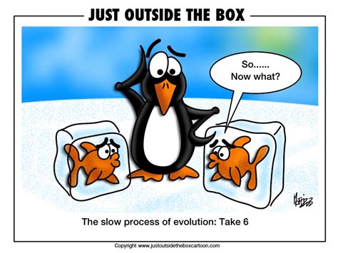 Image result for Fish Evolution Human Animation